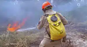 Wakdbrände Brasilien