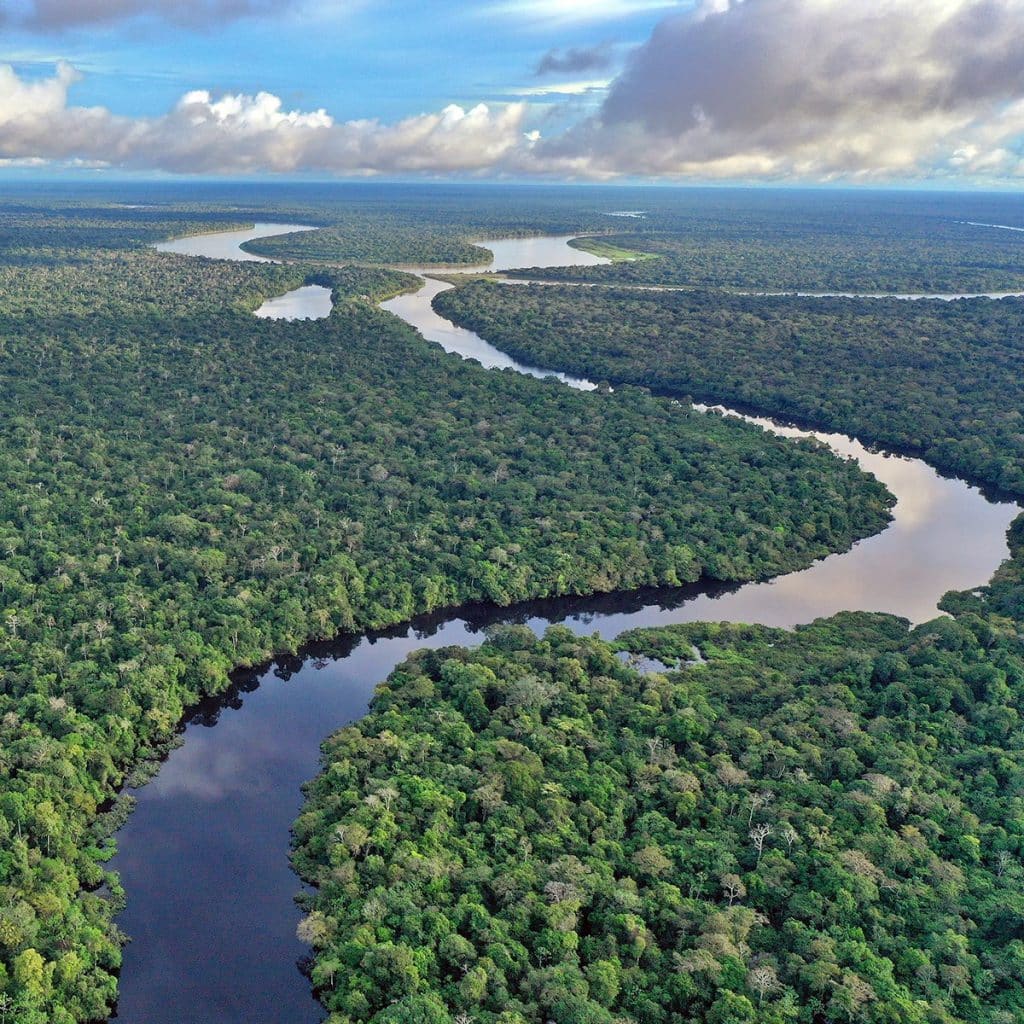 Amazonas : Kreuzfahrten Auf Dem Amazonas Ab Manaus Flusskreuzfahrt