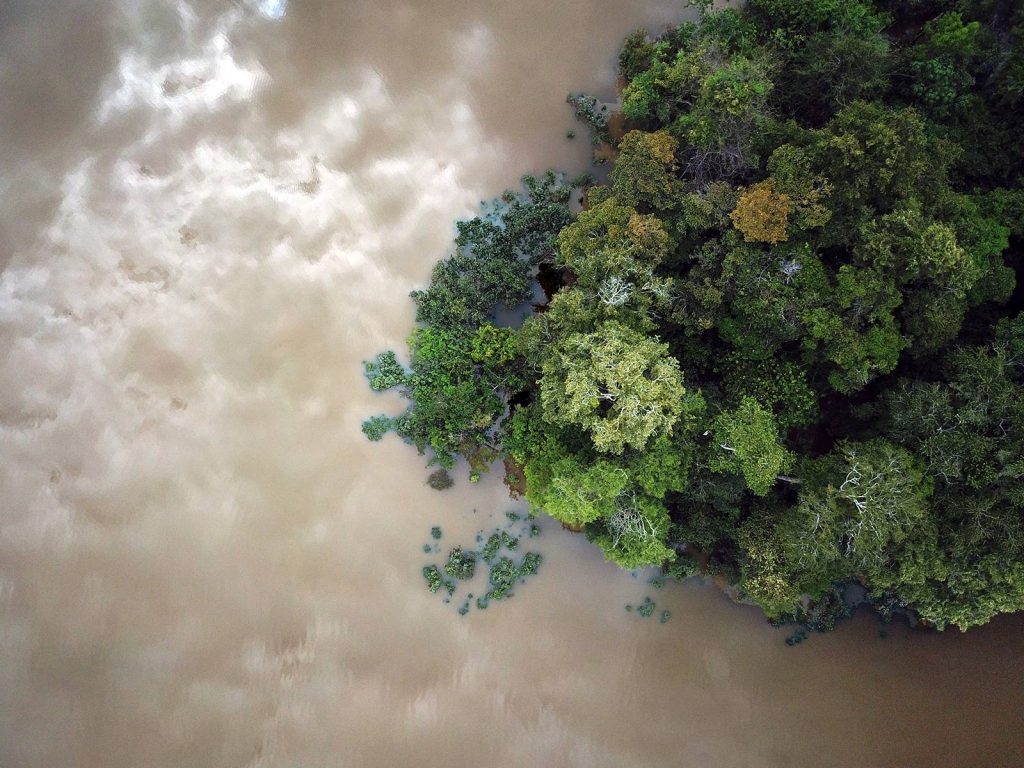 Selva amazónica Brasil