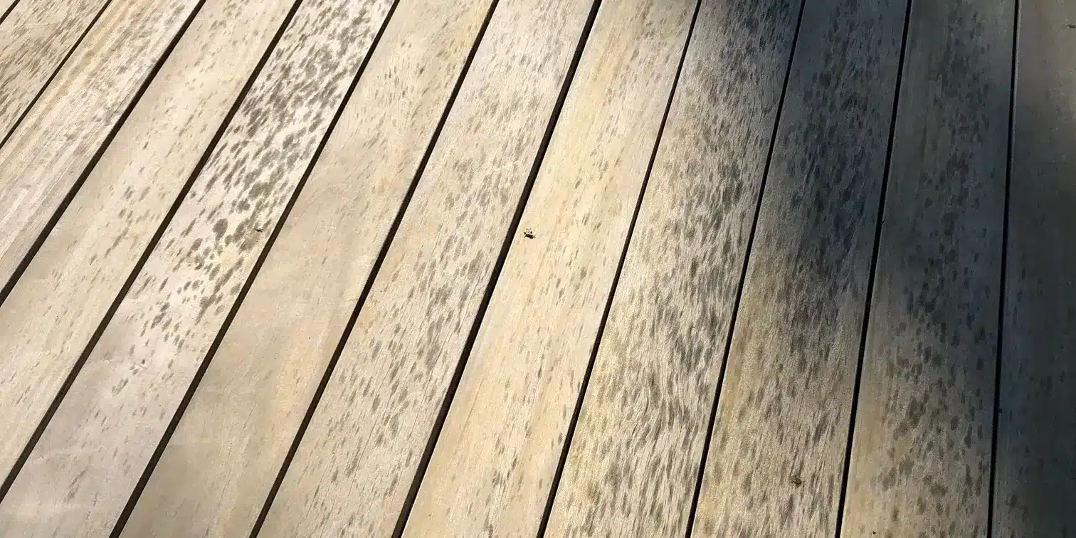 Taches noires sur une terrasse en bois que pouvezvous faire