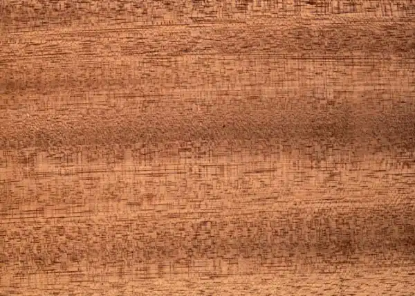 Sipo Holz Oberfläche
