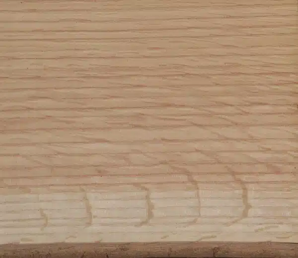 Roteiche – Oberfläche mit Spiegeln der Holzstrahlen